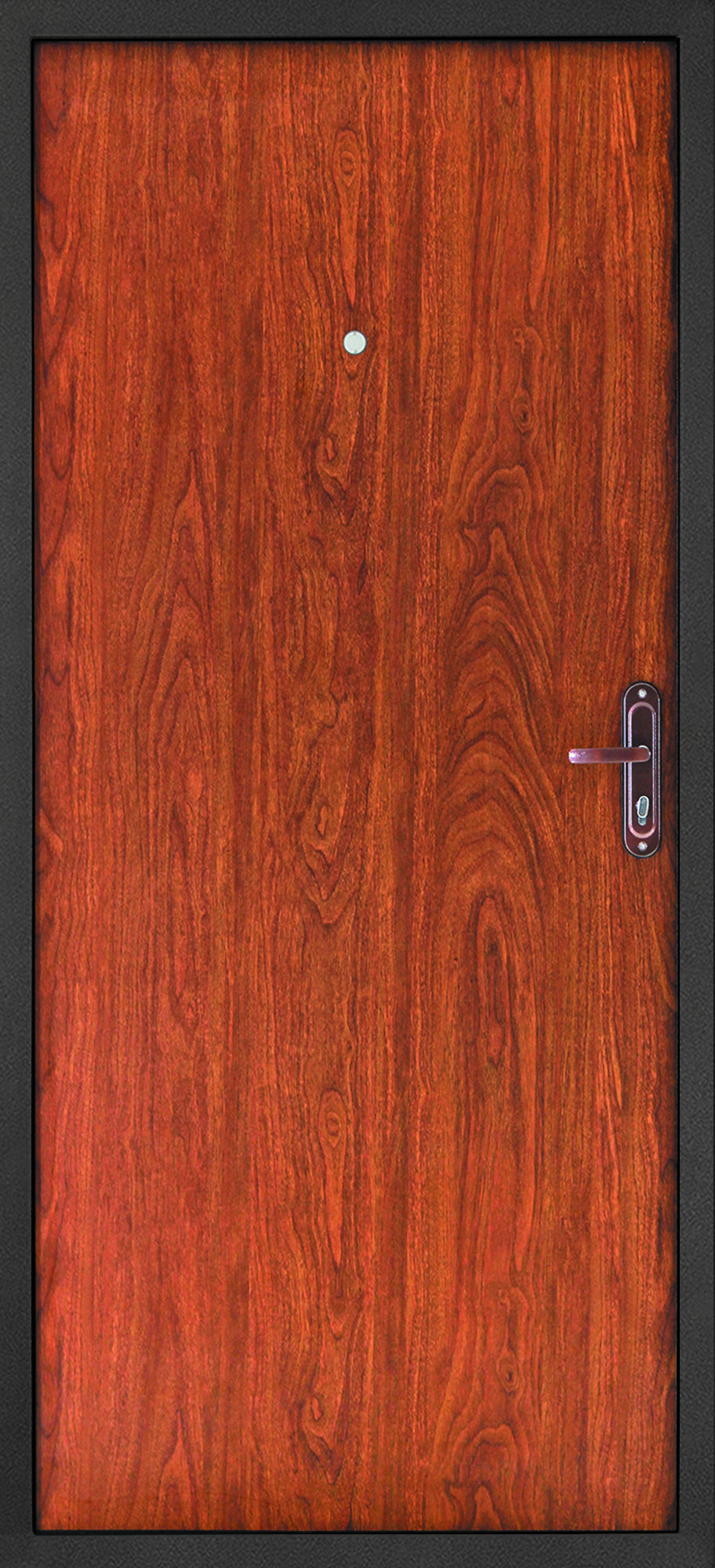 Модель дверей.