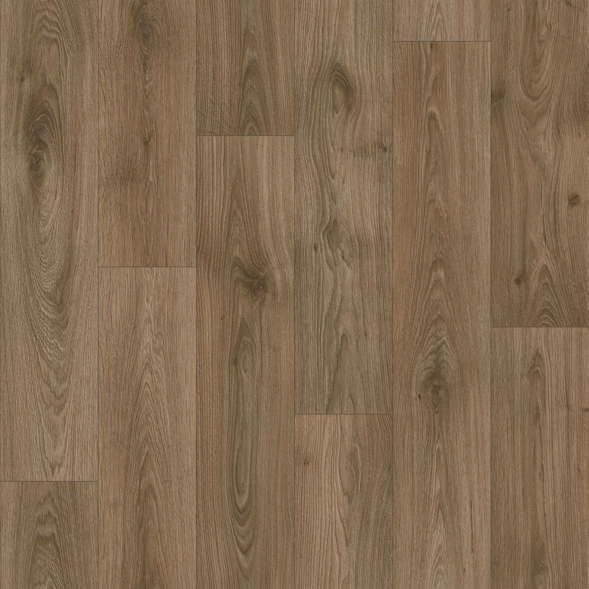 Линолеум Синтерос Delta Tomas 3, 2,5 м