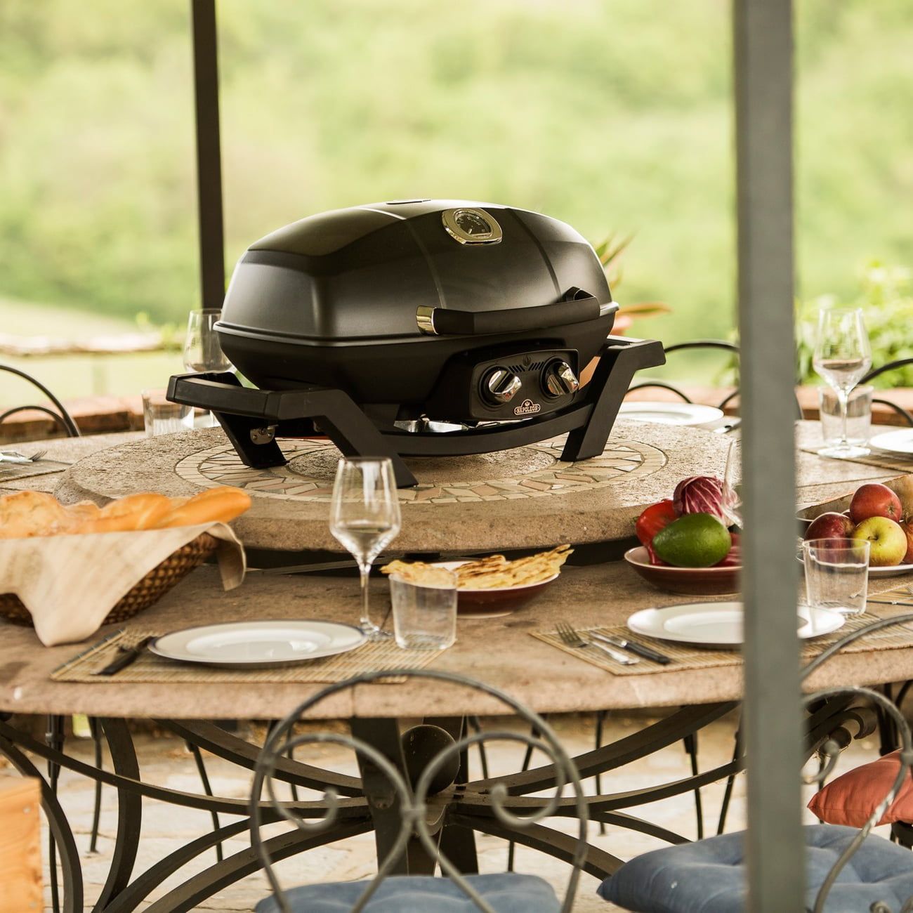 Гриль газовый Napoleon TravelQ PRO-285