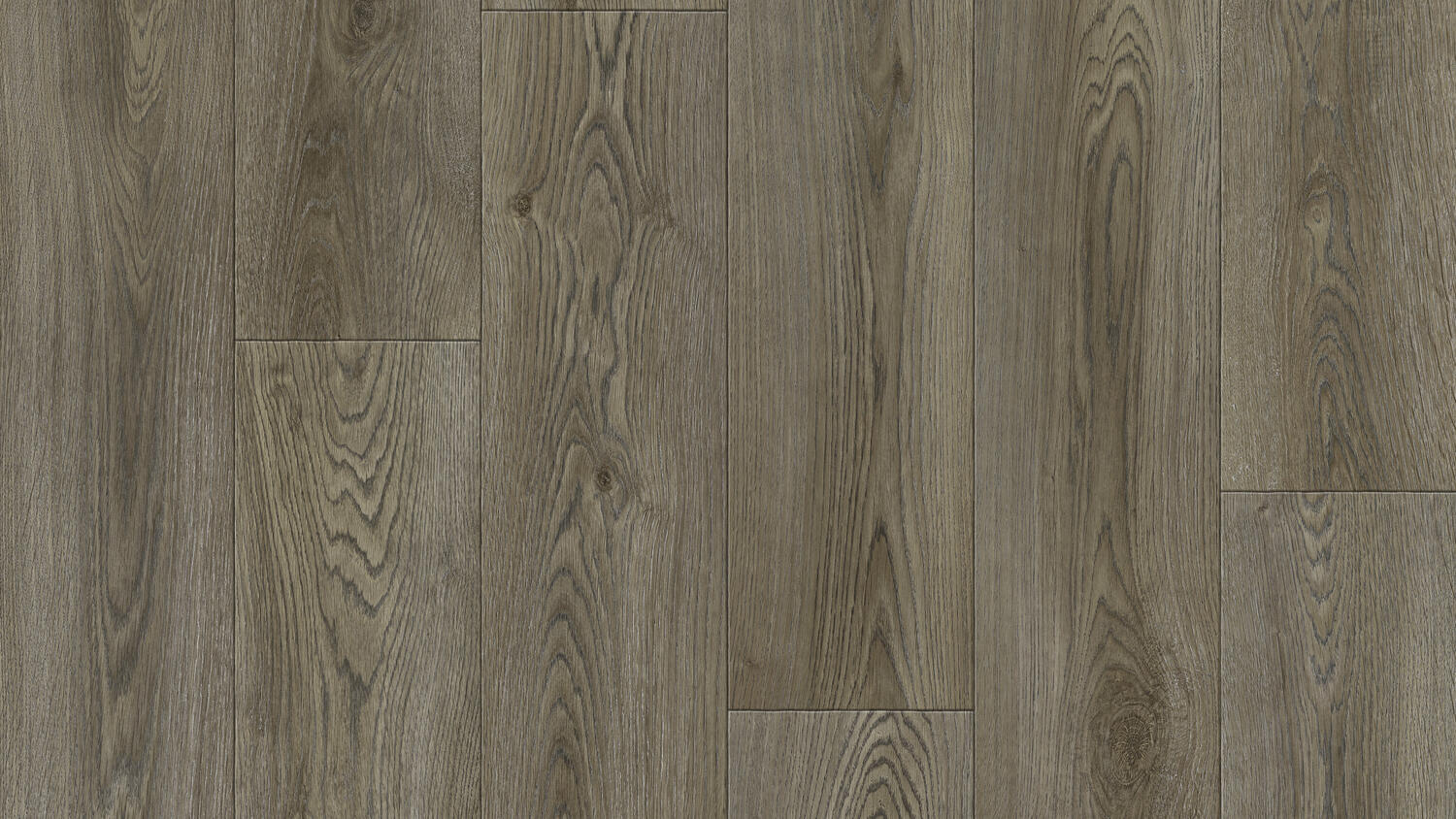 Линолеум Tarkett Club Evora 2, 3 м