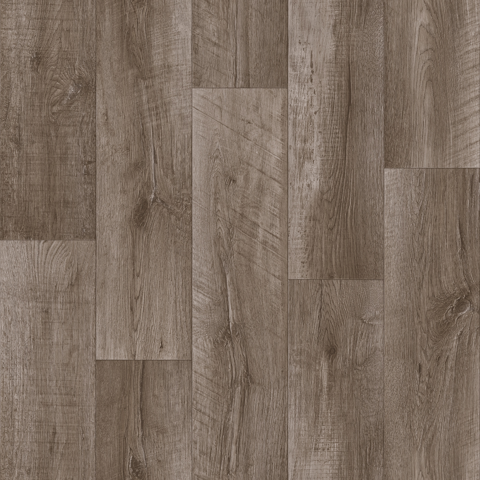 Линолеум Tarkett Club Alpha 2, 3 м