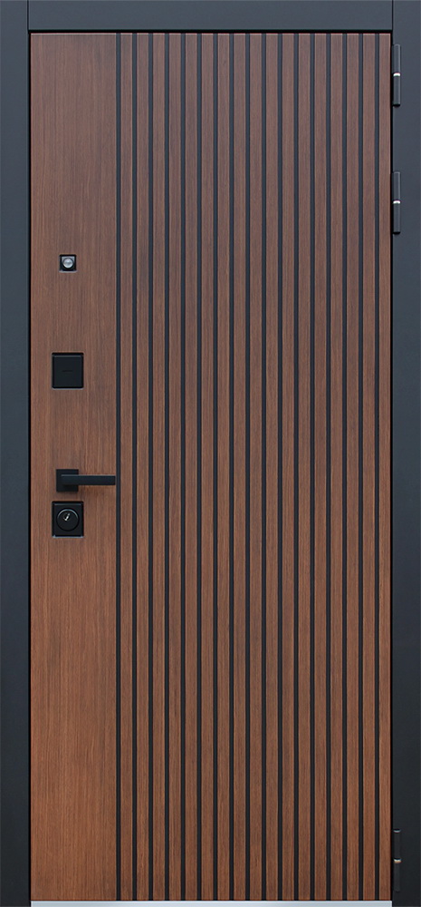 Модель дверей.