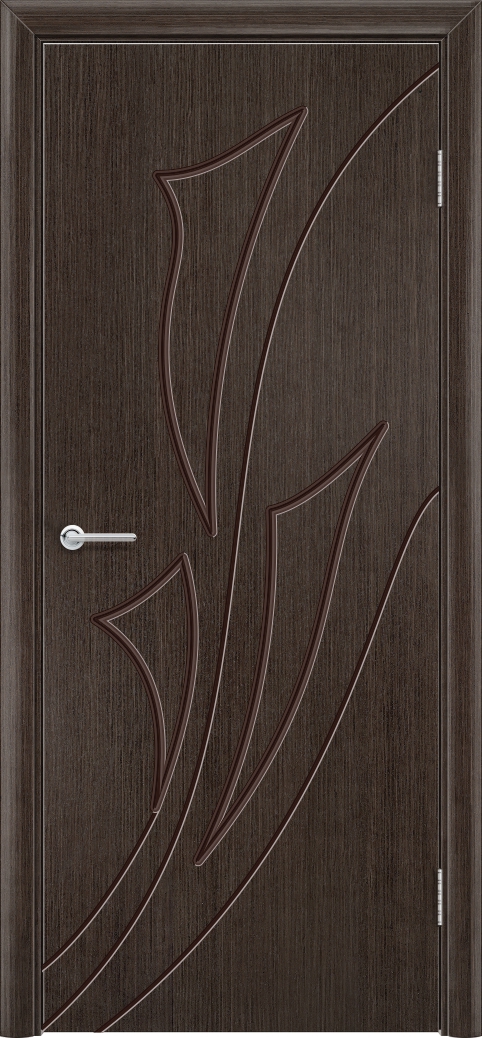 Модель дверей.