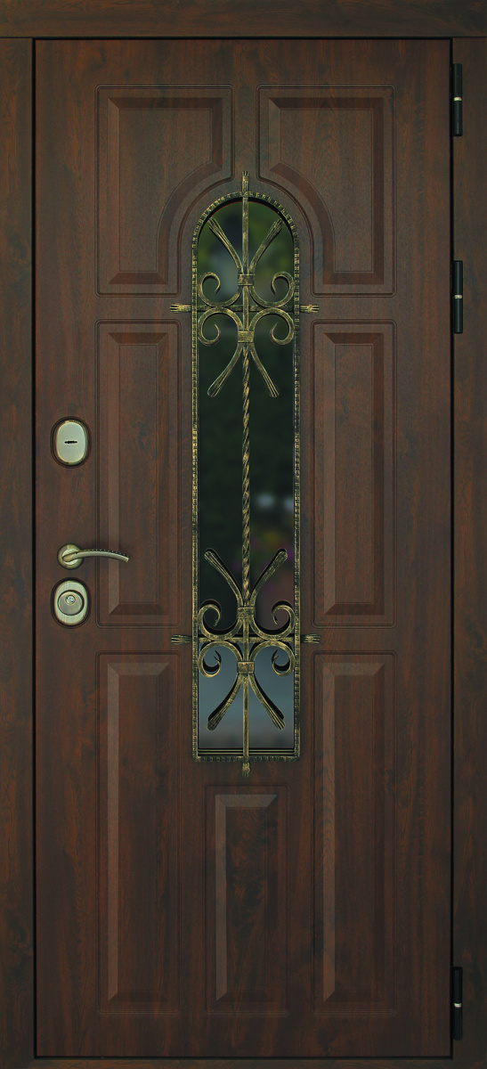 Входная дверь Лион.