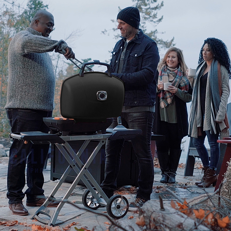 Гриль газовый Napoleon TravelQ-285X