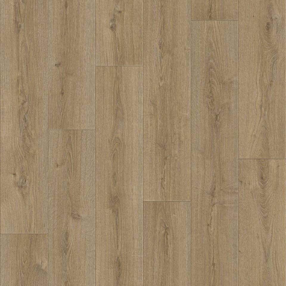 Линолеум  Praktika Bruno 2, 2,5 м